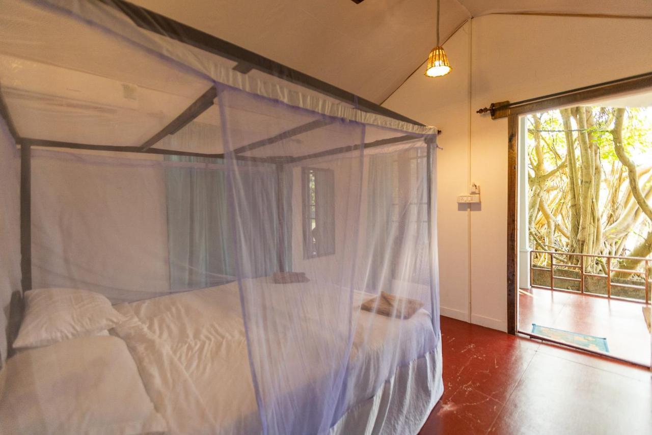 Dreamcatcher Unique Retreat Yoga & Spa Palolem Eksteriør billede